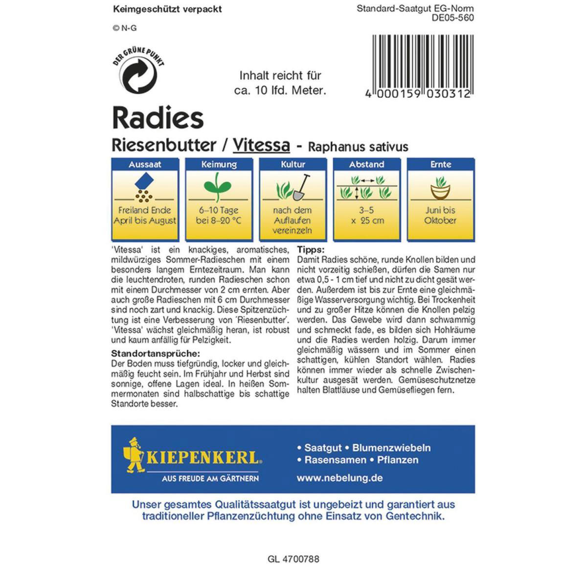 Kiepenkerl Radieschen Vitessa Profi-Line Bild 2
