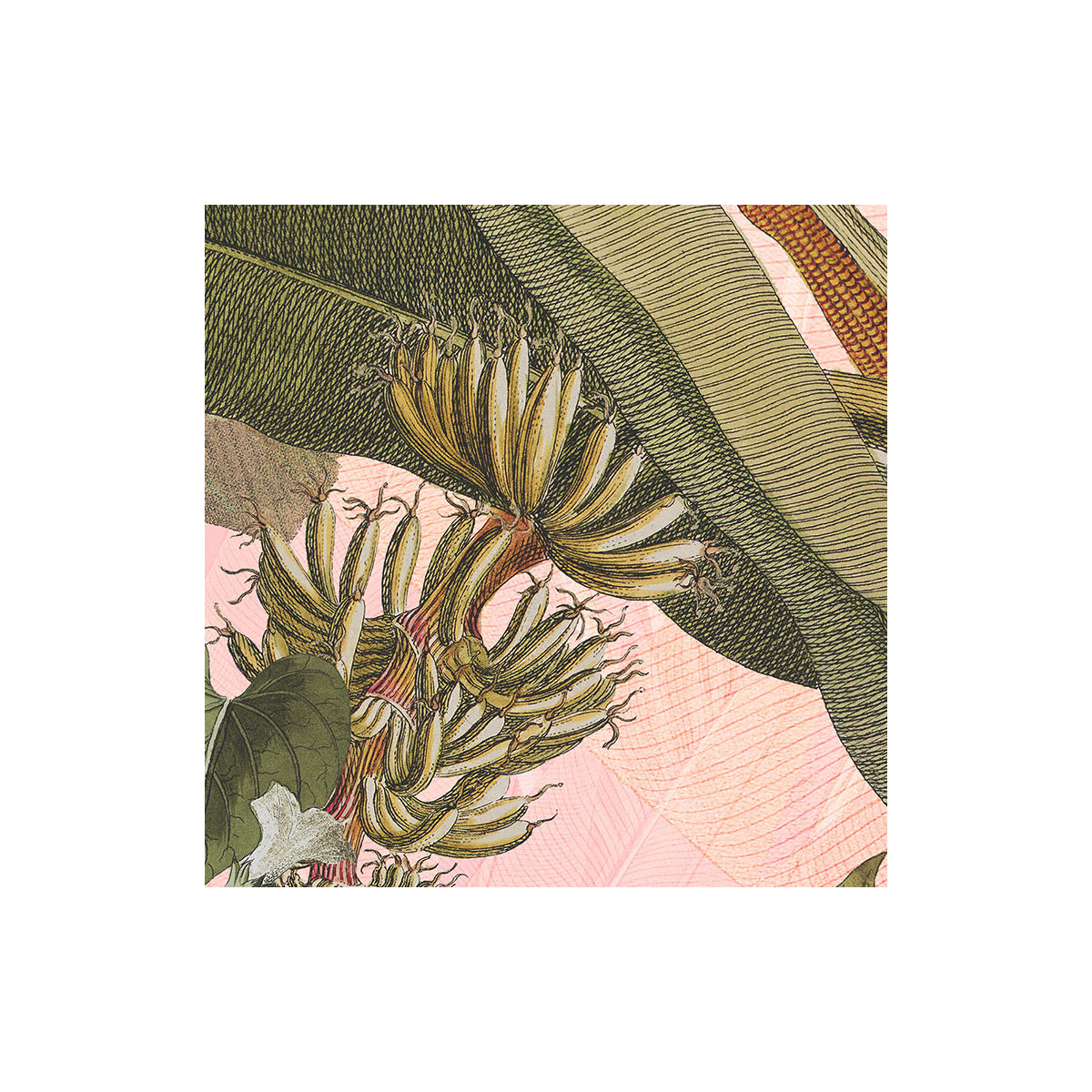 Komar  Selbstklebende Vlies Fototapete rund Botany Durchmesser 125 cm Bild 3