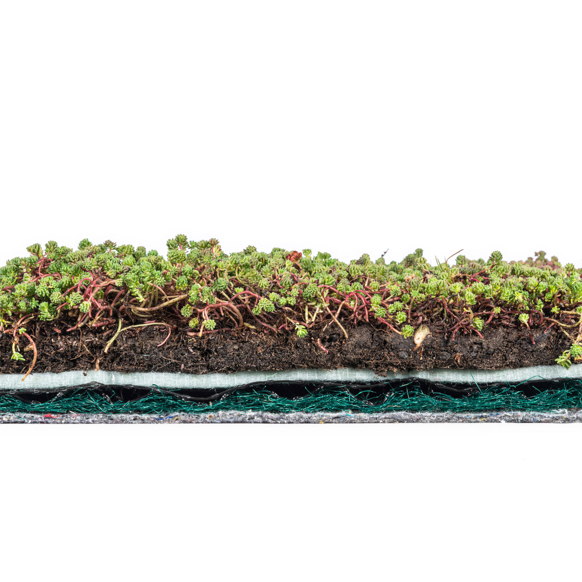 AboutGreen Dachbegrünung Roll und Go Dachneigung 1-5