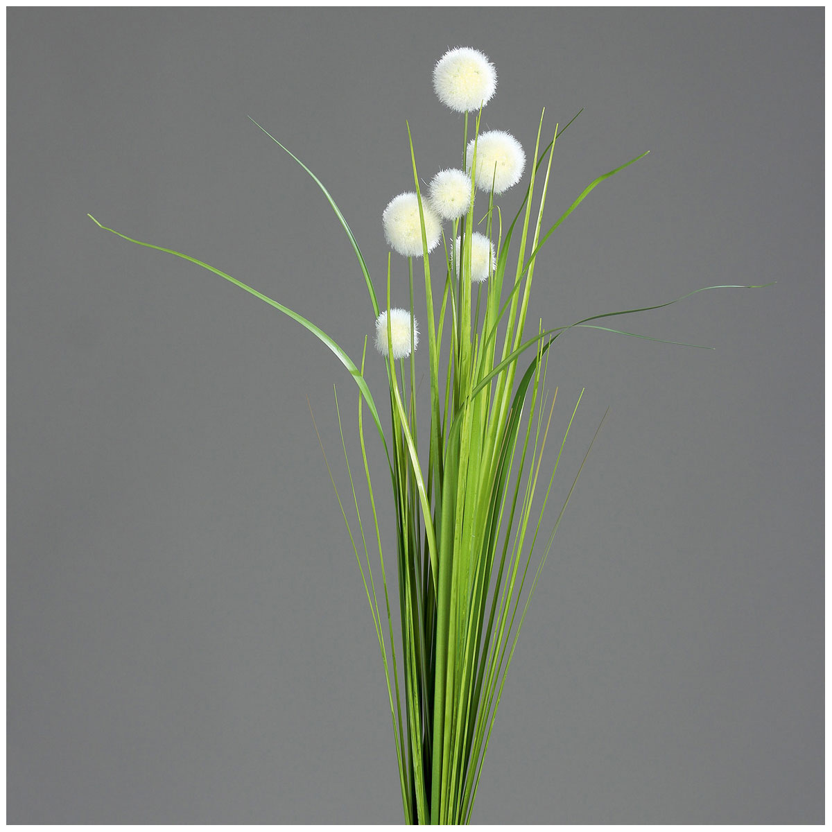 Kugelgras-Busch 70 cm cream