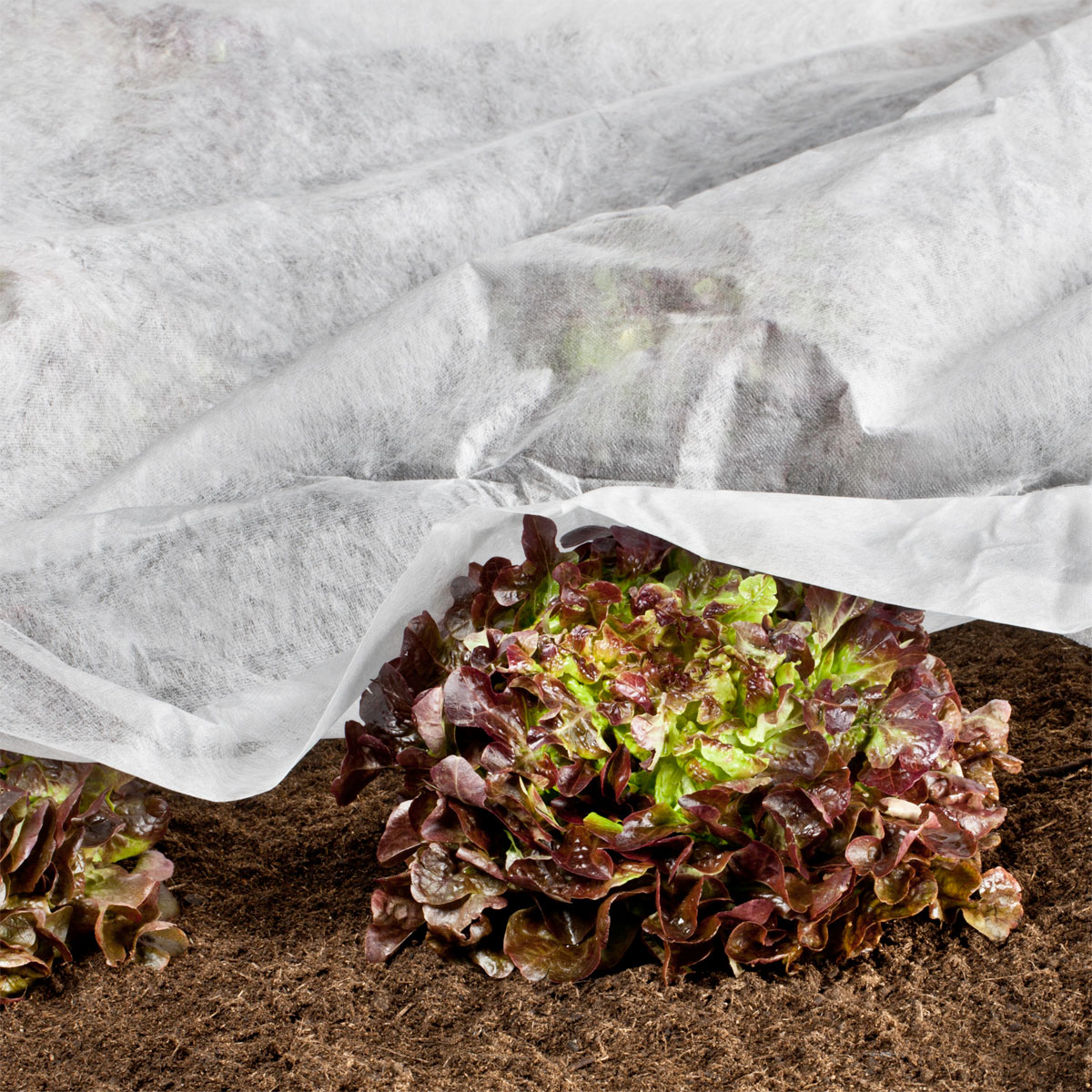 Windhager  Wachstumsvlies 18 g/m² 5x1,5 m Bild 1