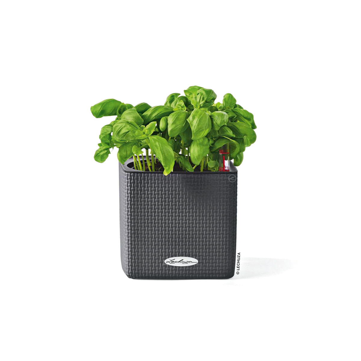 Pflanzkübel Cube Color Komplettset 14 cm schiefergrau