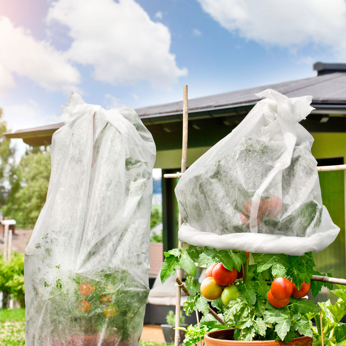 Windhager  Tomatenvlies 18 g/m² 0,75x10 m