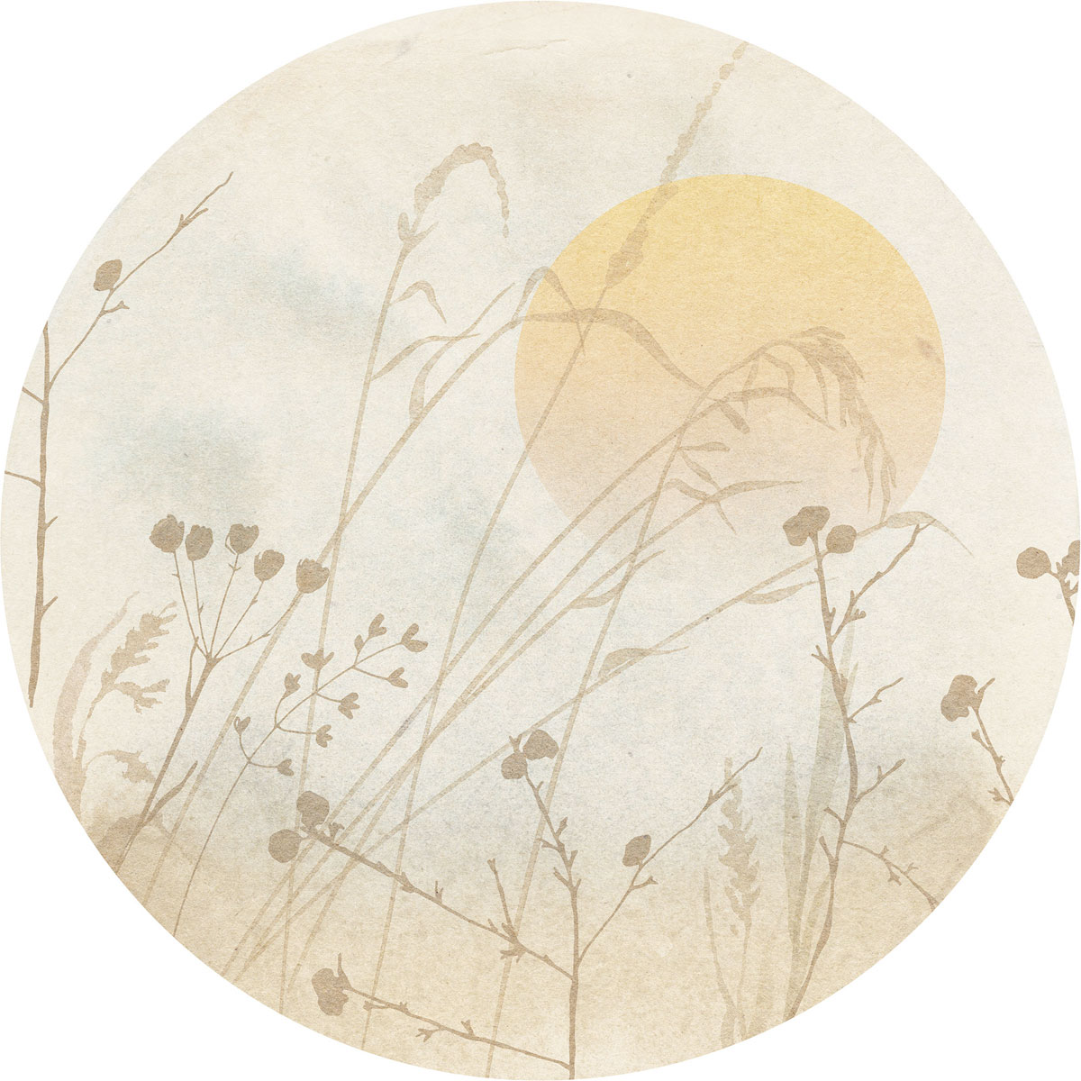 Komar  Selbstklebende Vlies Fototapete rund Roseau Durchmesser 125 cm Bild 2