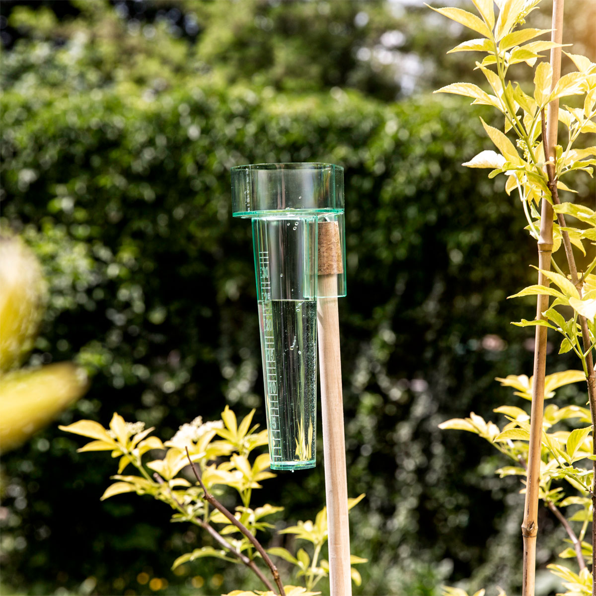 Windhager  Regenmesser Profi Bild 3