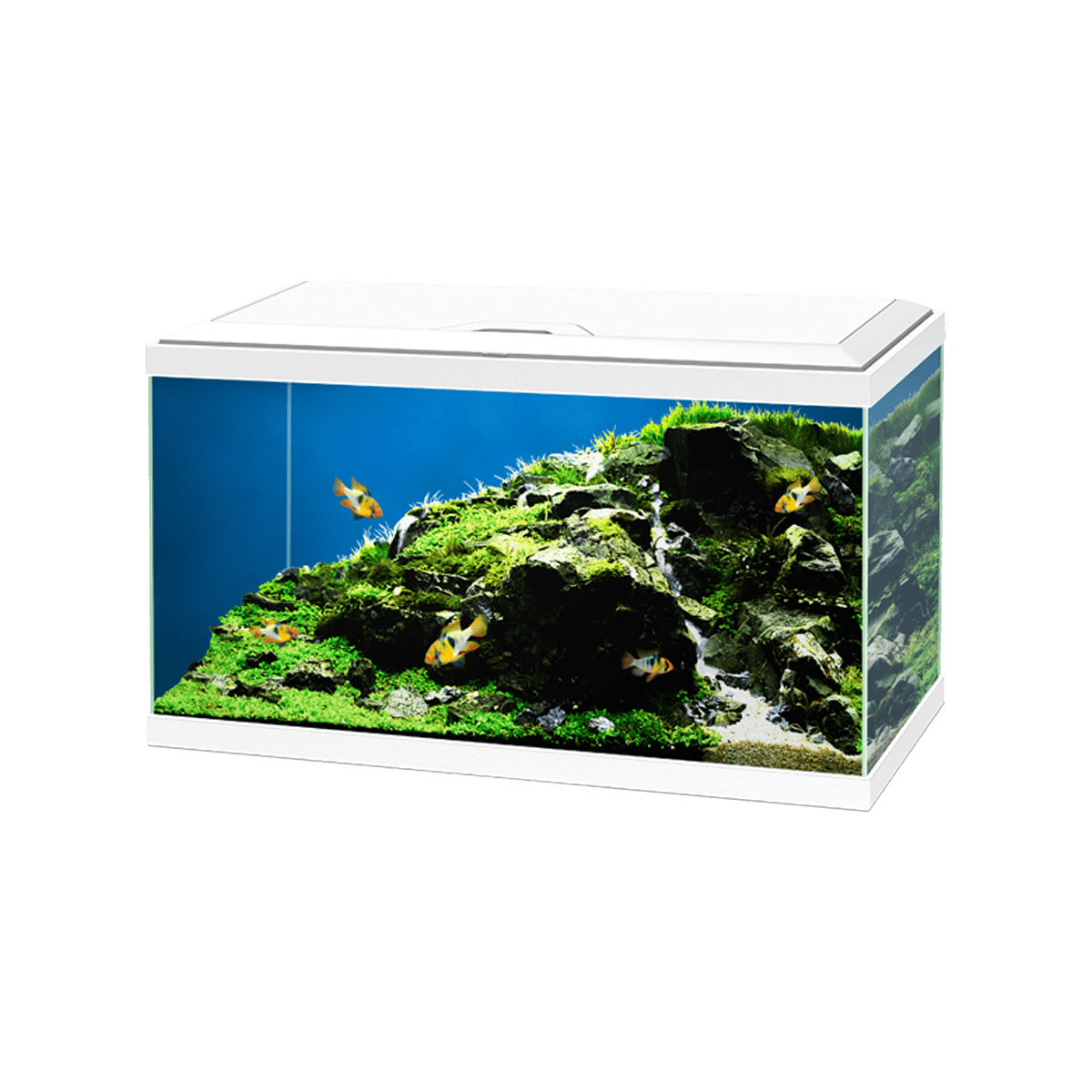 Ciano Aqua 60 LED 58 L Aquarium weiß