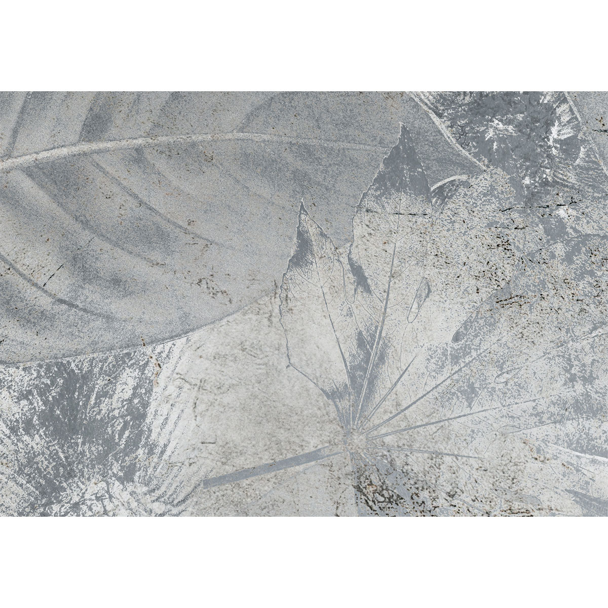 Komar  Vlies Fototapete Flower Fossil 200x280 cm Bild 3
