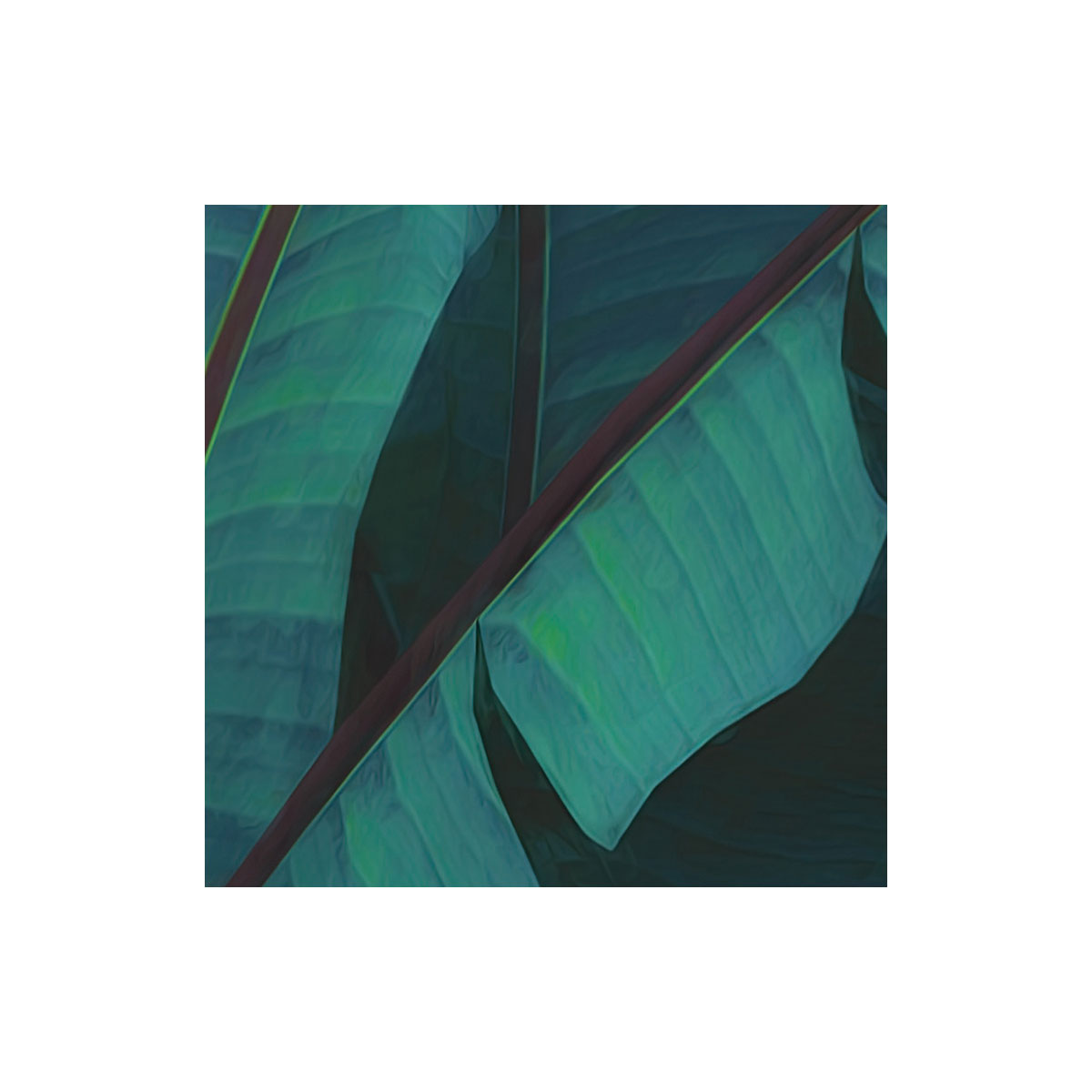 Komar  Vlies Fototapete Jungle Morning 400x250 cm Bild 5