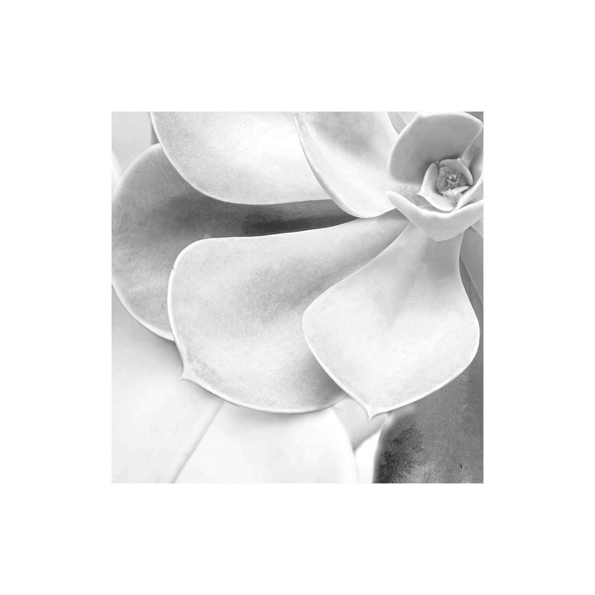 Komar  Vlies Fototapete Shades Black and White 400x250 cm Bild 9