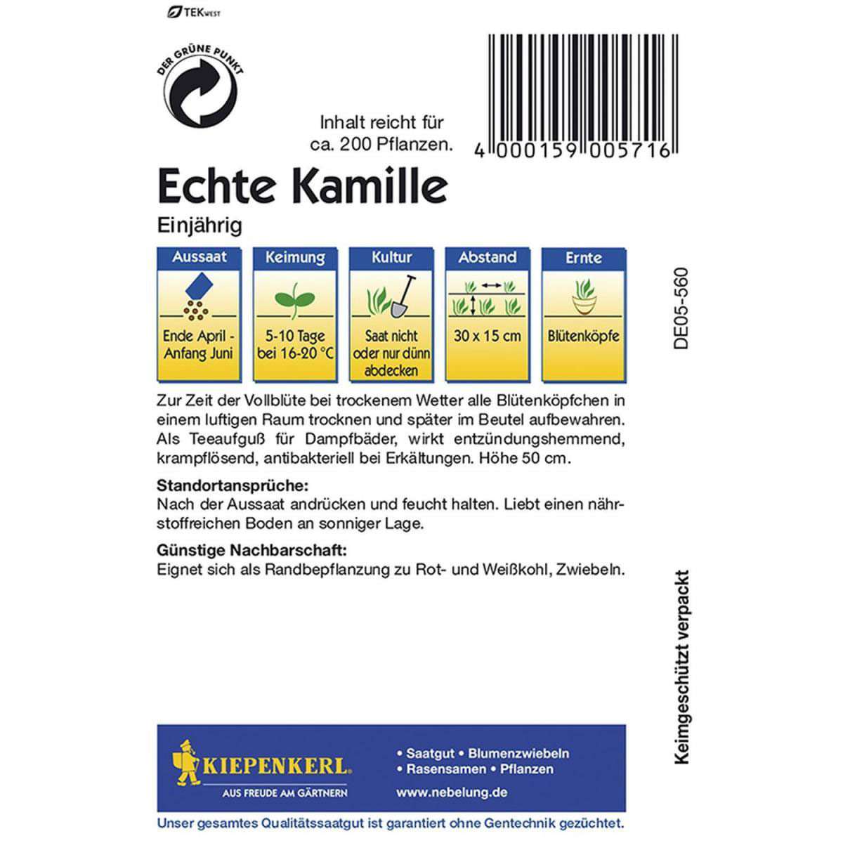 Kiepenkerl Echte Kamille einjährig Bild 2