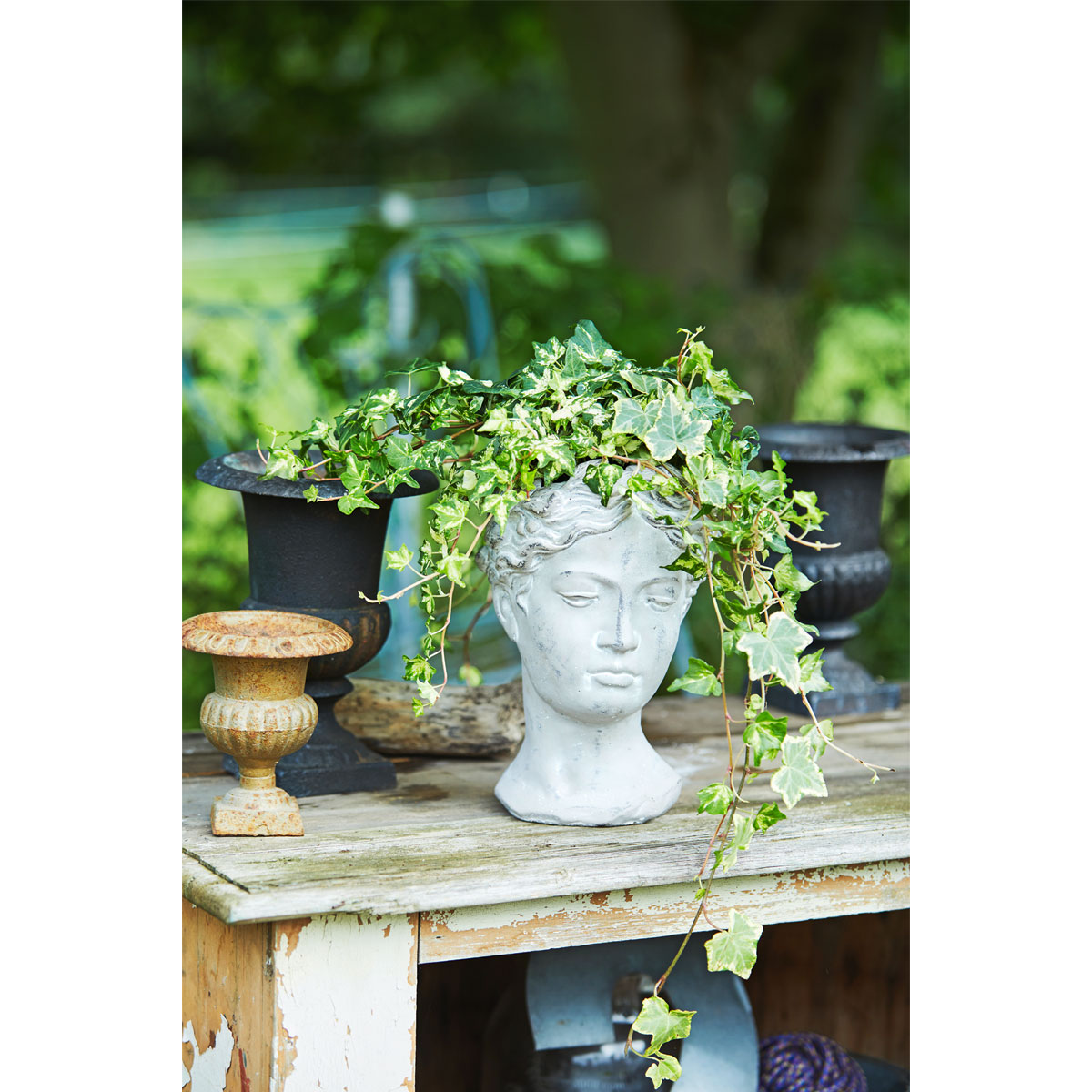 Pflanztopf Thalia Bild 2