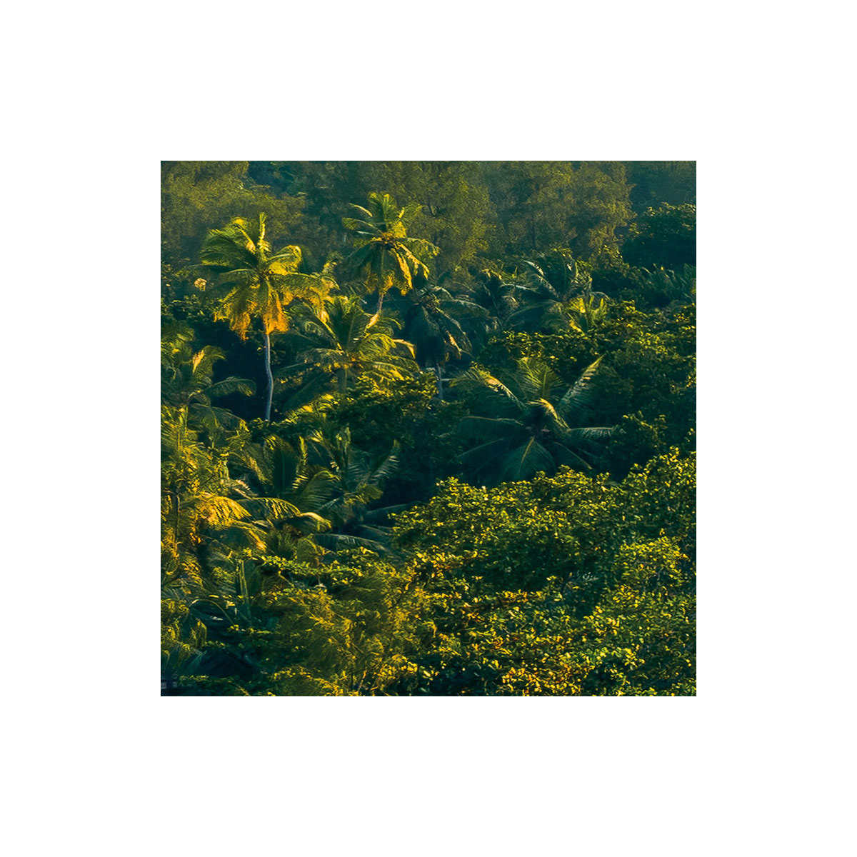 Komar  Vlies Fototapete Golden Air 450x280 cm Bild 7