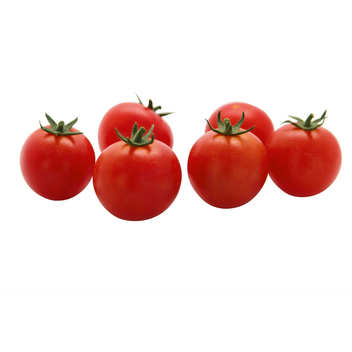 Plantiflor Veredelte Salattomate Topf Durchmesser 12 cm Bild 6