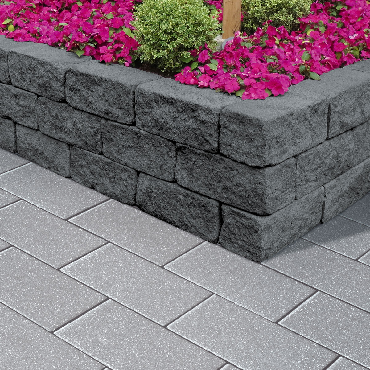 Diephaus  Pflaster Major Quarz mit Glimmer 30 x 20 x 6 cm Bild 3