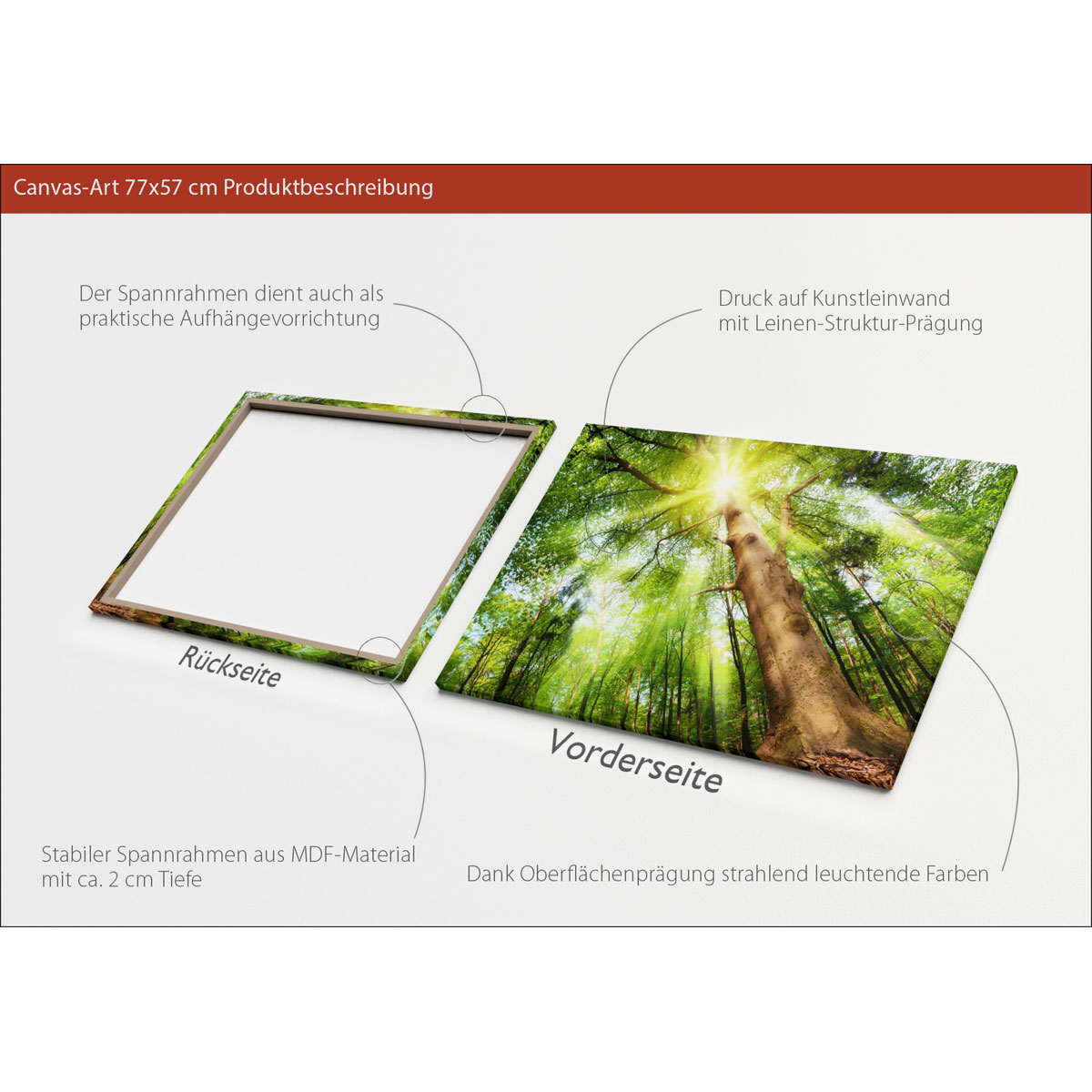 Canvas-Art Wald 60 x 80 cm Bild 3