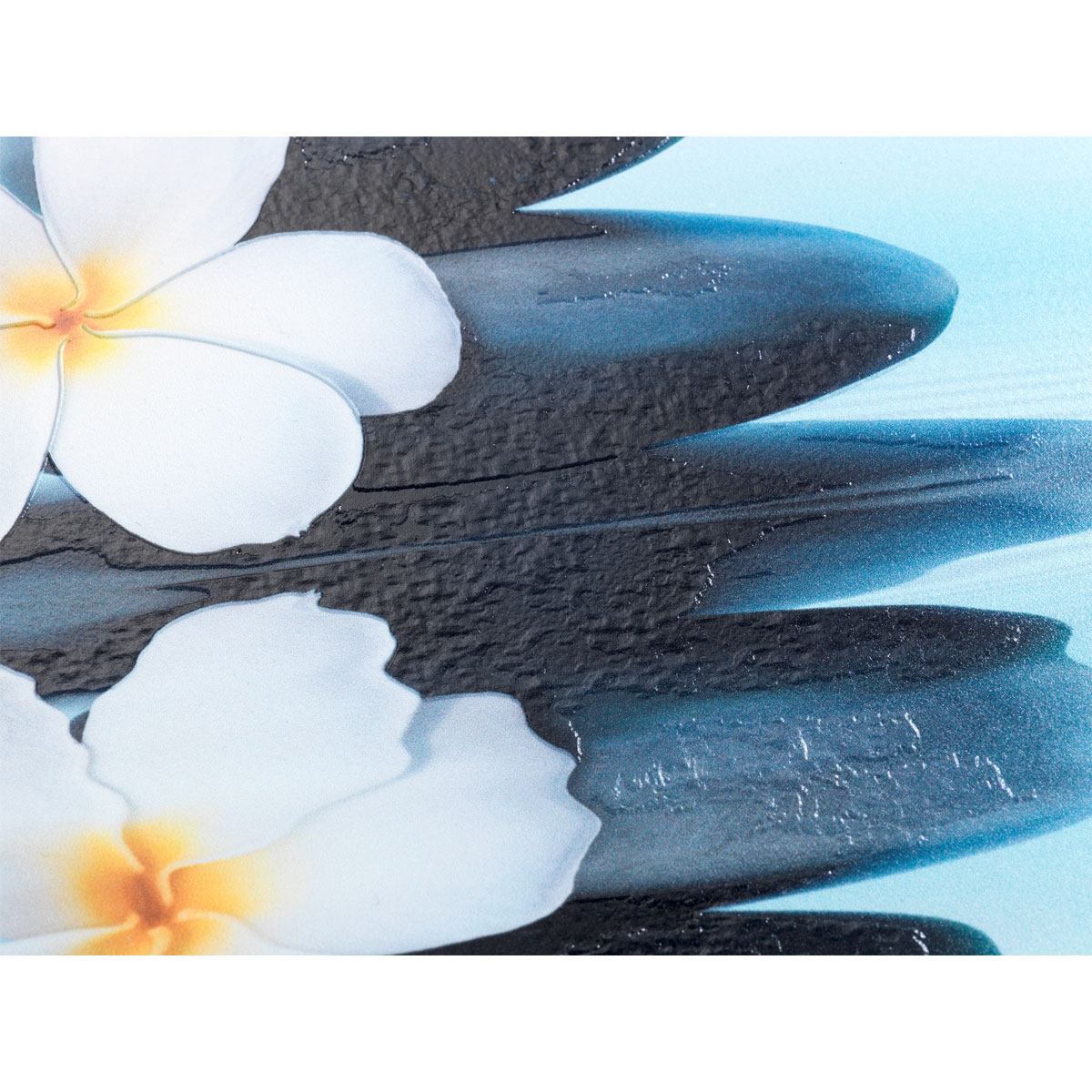 Wenko  WC-Sitz Saguna mit Relief-Oberfläche Toilettensitz mit Absenkautomatik Schnellbefestigung aus bruchstabilem Thermoplast Bild 8