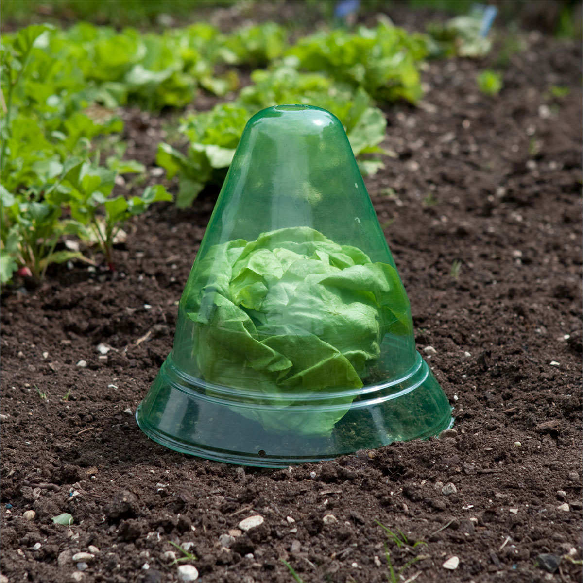 Windhager  Pflanzenhut groß 10 Stück Durchmesser 24 cm Bild 3