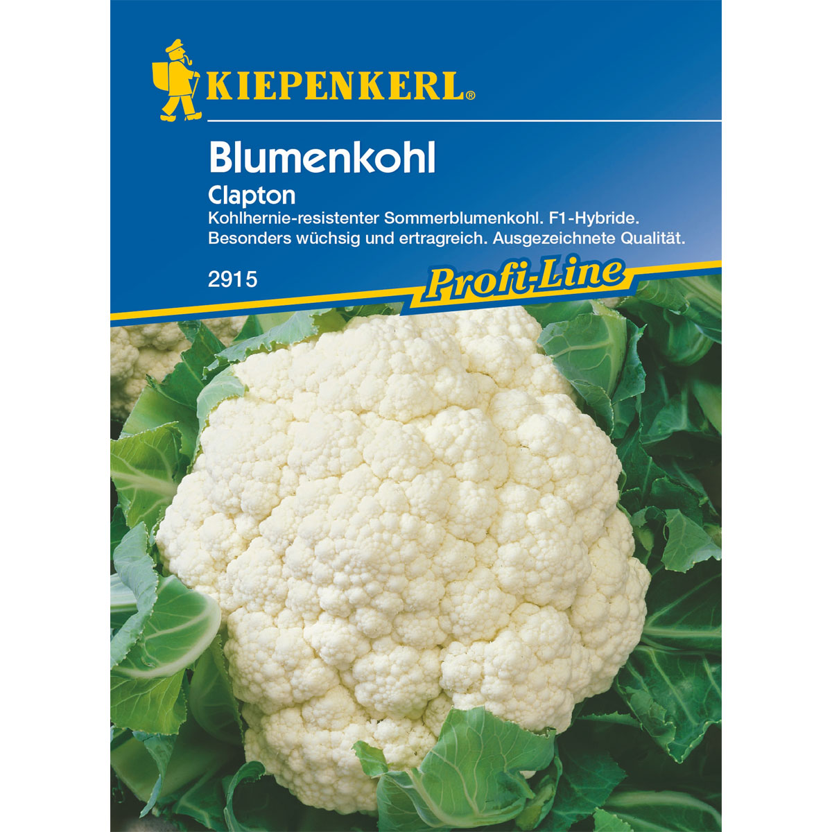 Kiepenkerl Blumenkohl Clapton
