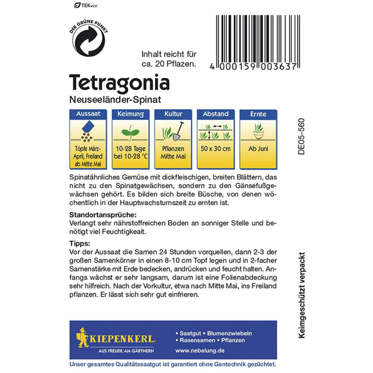 Kiepenkerl Tetragonia Neuseeländer Spinat Bild 2