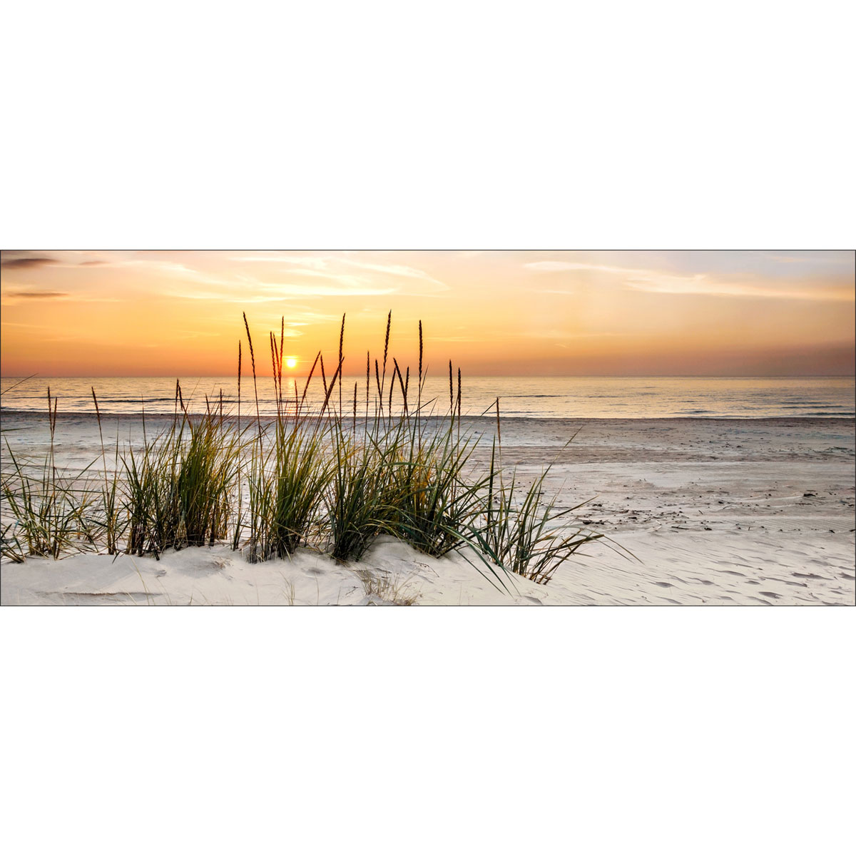 Decopanel Lonely Dune 50 x 120 cm