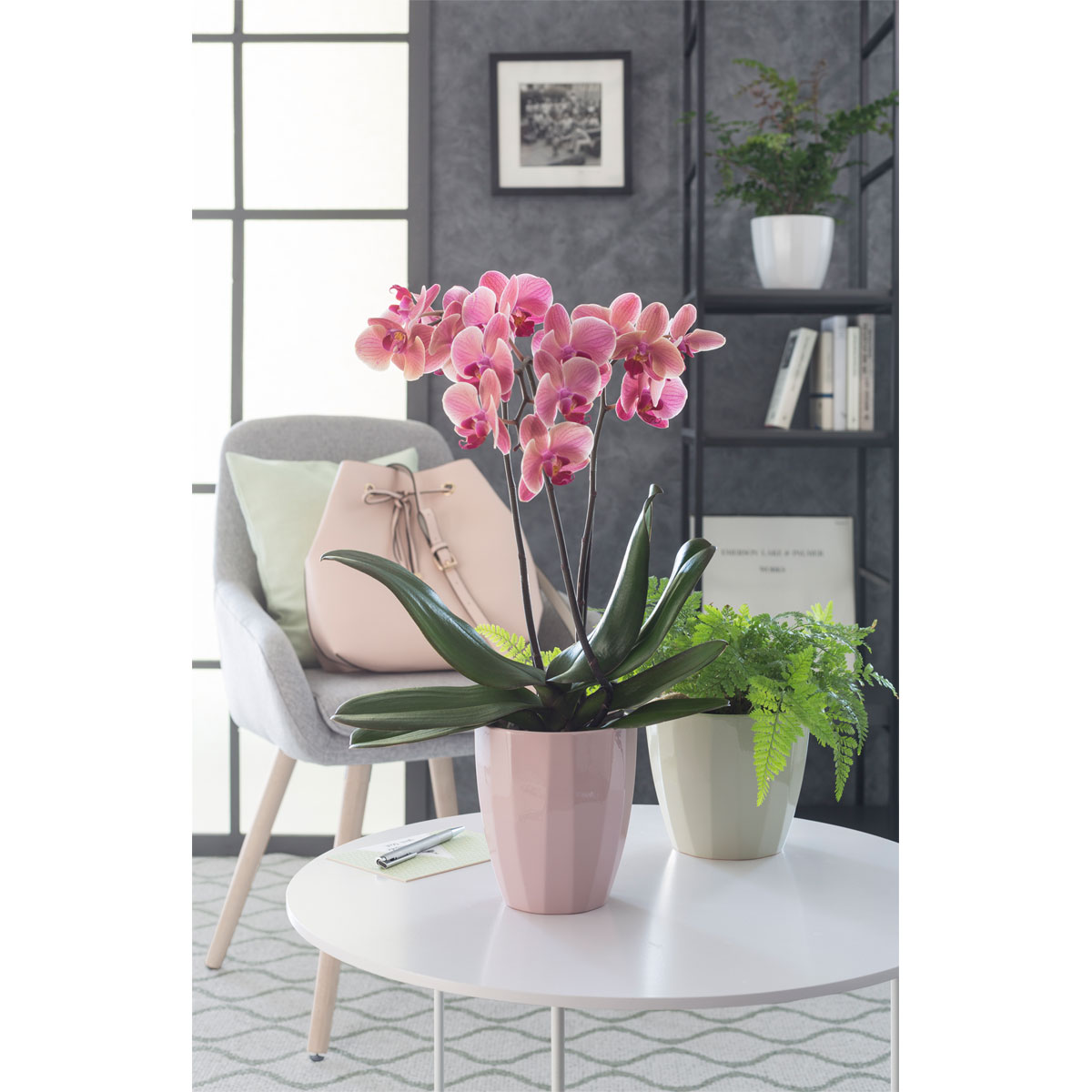 Scheurich Pflanzgefäß Elegance 639 14 cm Grün Bild 2