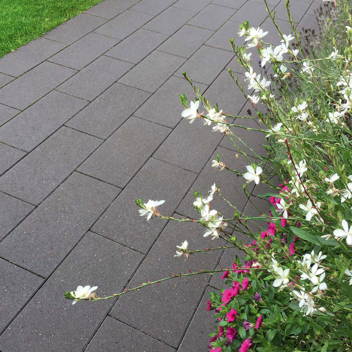 Diephaus  Pflaster Major basalt mit Glimmer 0,96m2 pro Lage Bild 2