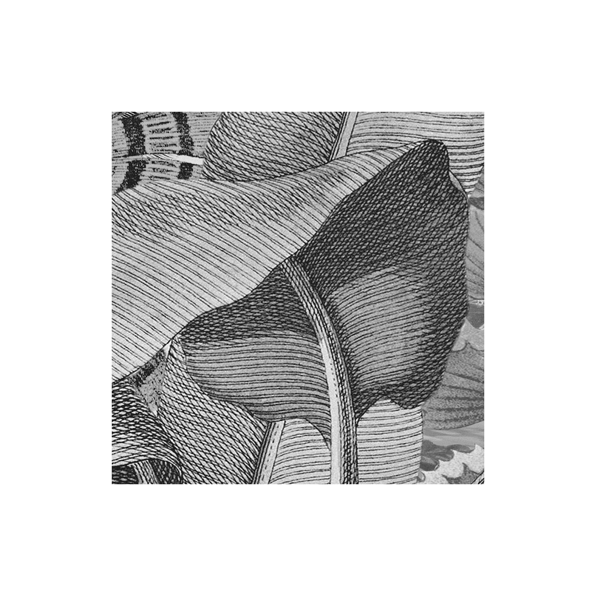 Komar  Selbstklebende Vlies Fototapete rund Amazonian Spirit Durchmesser 125 cm Bild 5