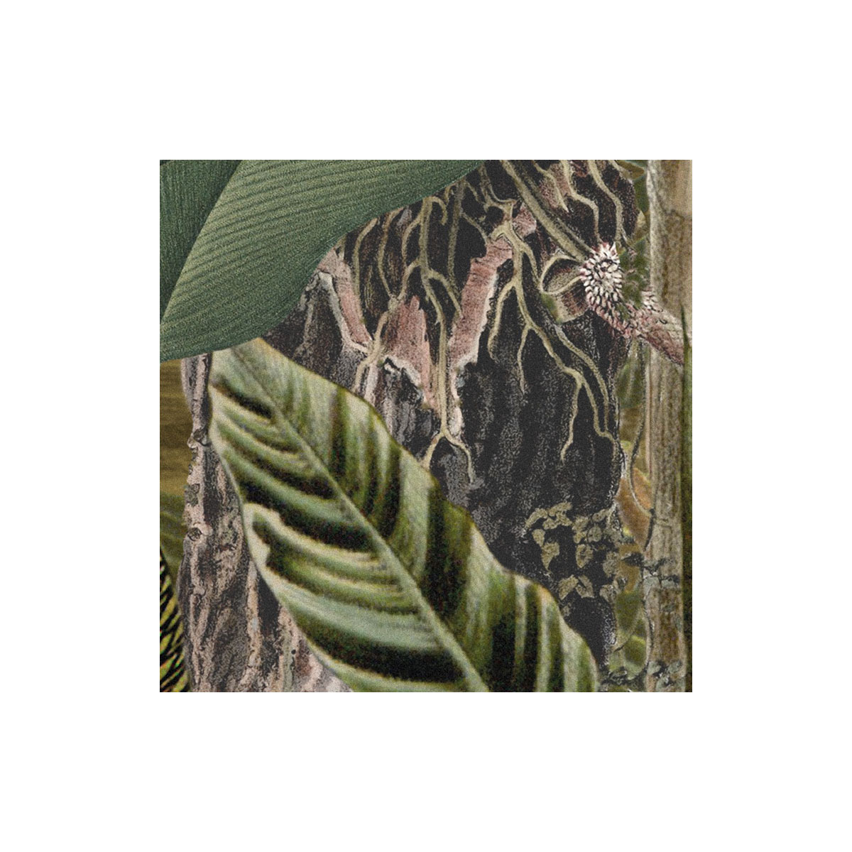 Komar  Vlies Fototapete Amazonia 368x248 cm Bild 9