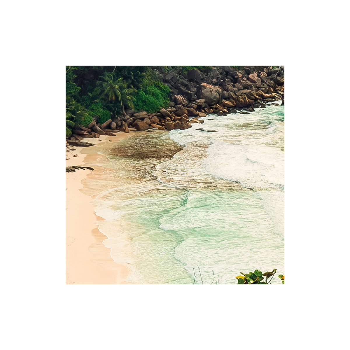 Komar  Vlies Fototapete Garten der Versuchung 450x280 cm Bild 8