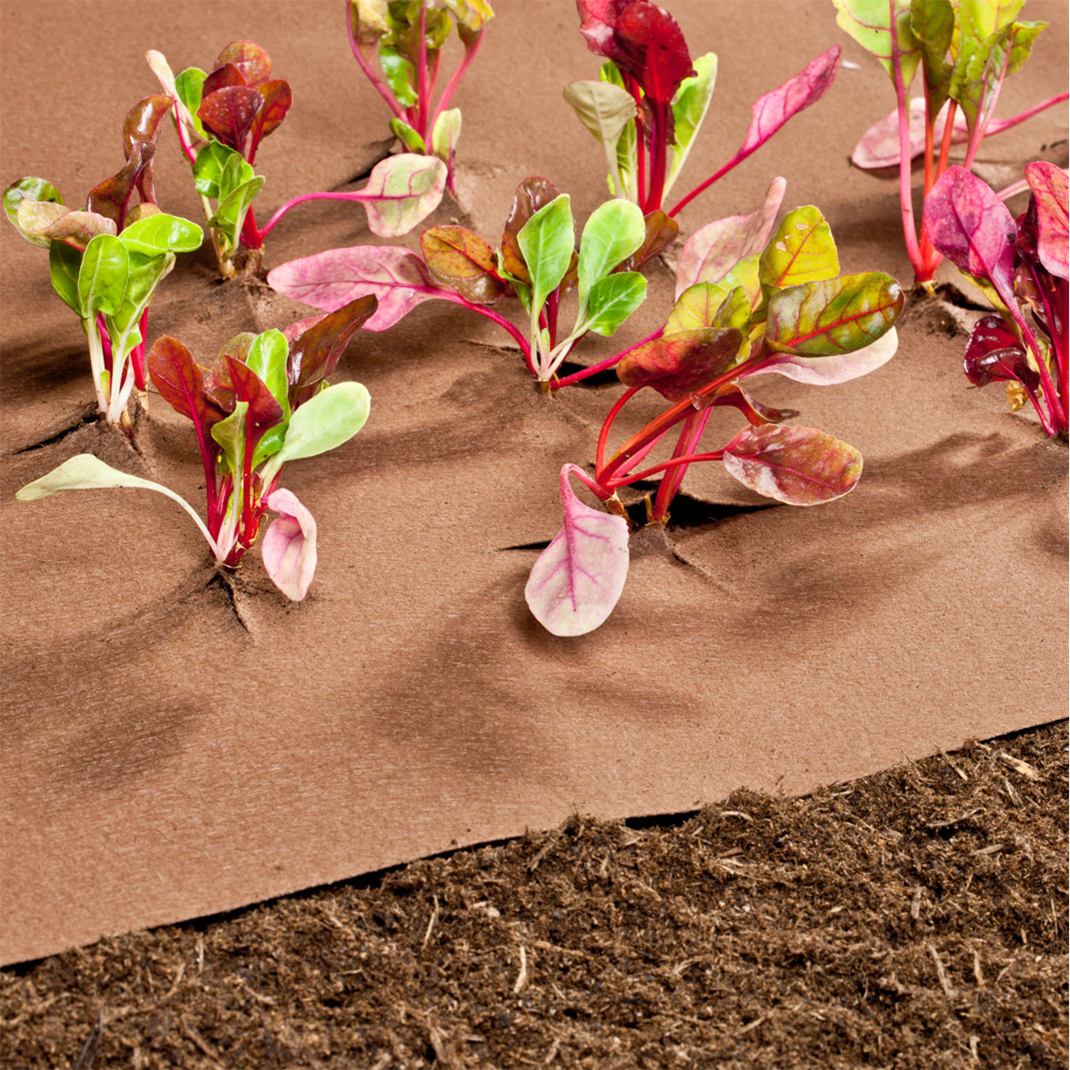 Windhager  Mulch-und Unkrautvlies 10x0,9 m