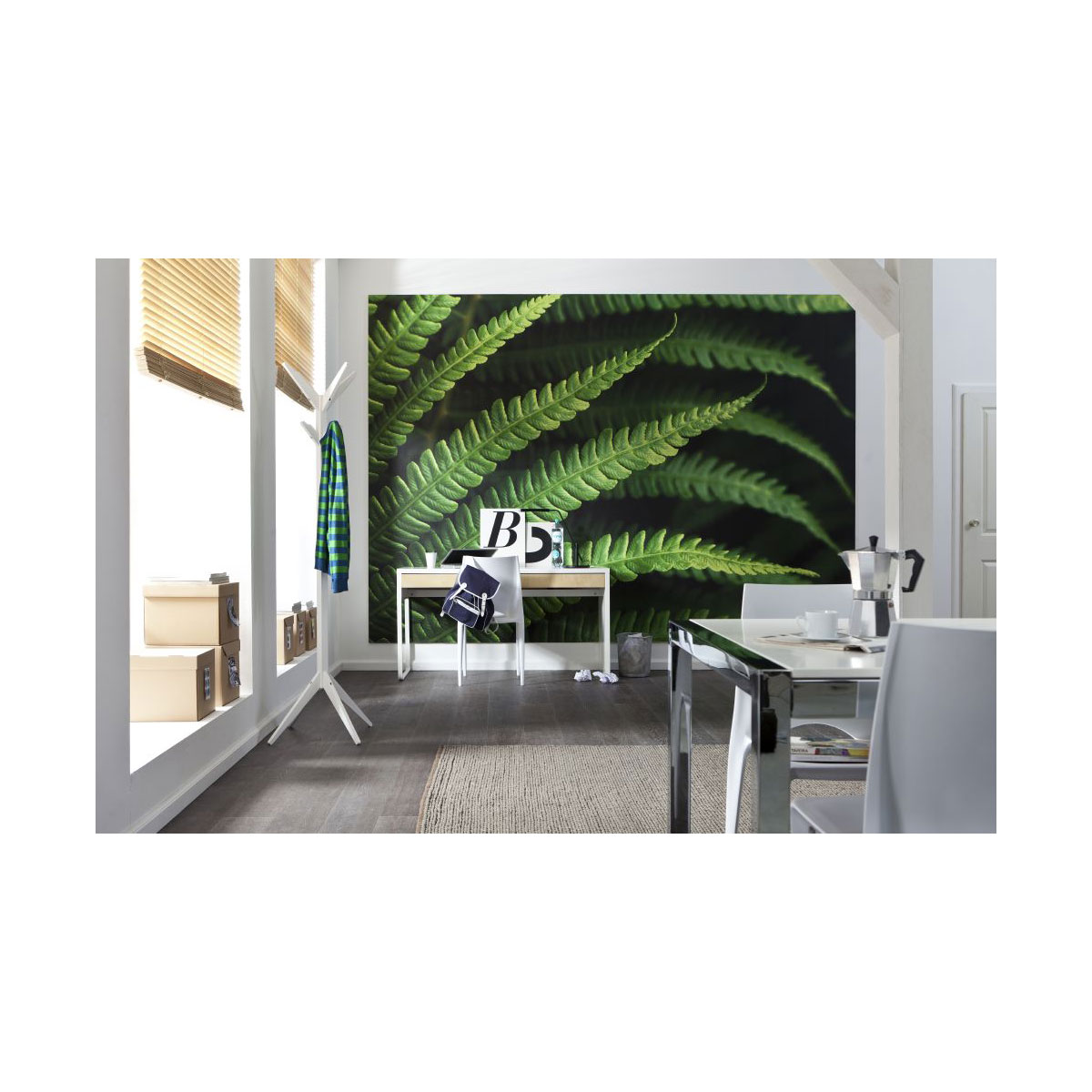 Komar  Vlies Fototapete Farn 350x250 cm
