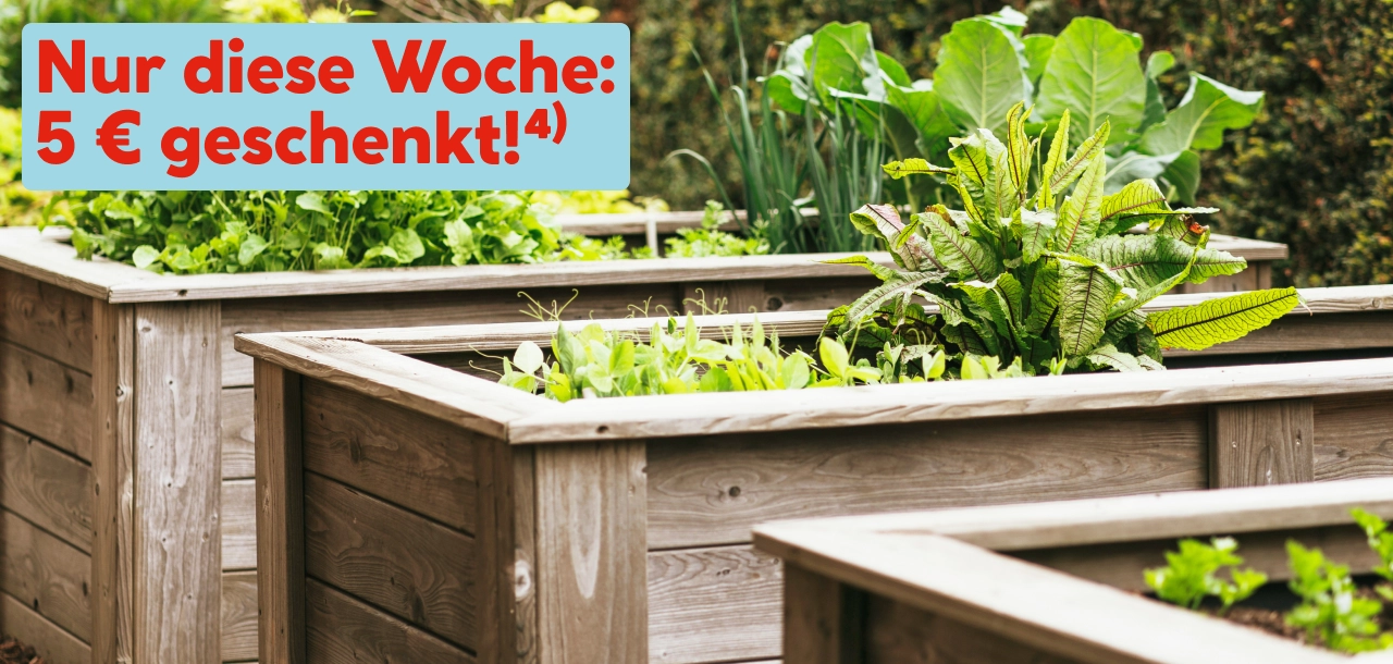 Hochbeet-Gutschein Aktion