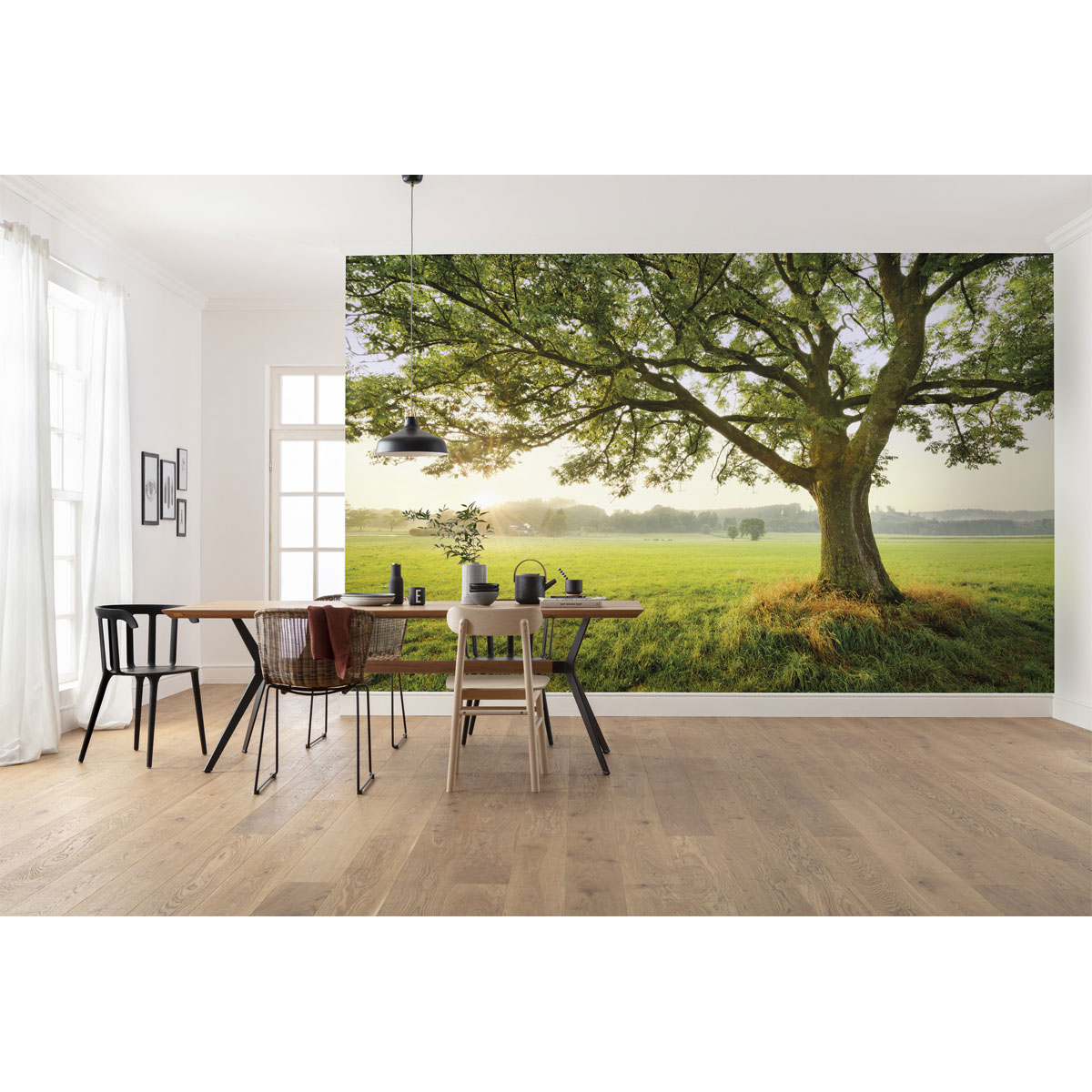 Komar  Vlies Fototapete The Magic Tree 450x280 cm