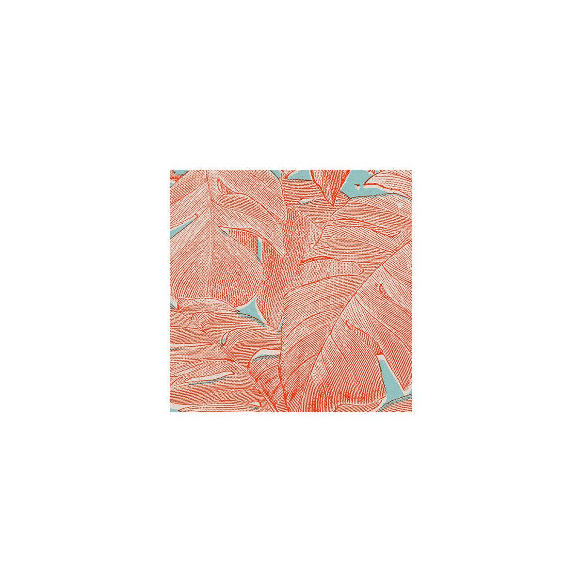 Komar  Vlies Fototapete Coralla 300x280 cm Bild 5