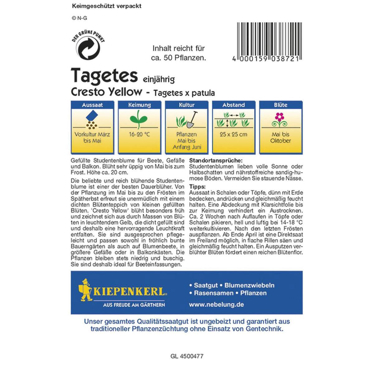Kiepenkerl Tagetes patula Cresto Yellow Profi-Line Bild 2
