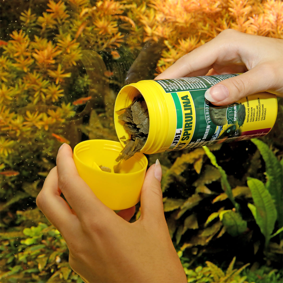 JBL  PRONOVO SPIRULINA FLAKES M 250ml Bild 6