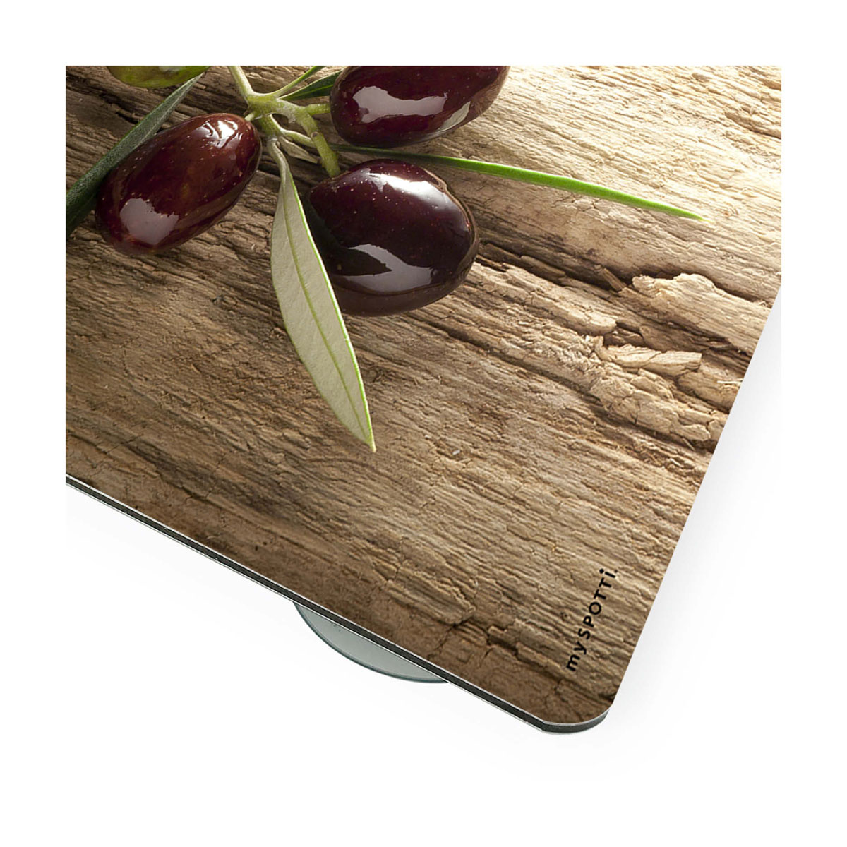 MySpotti Pop Mini-SpritzschutzOlivenzweig Bild 3