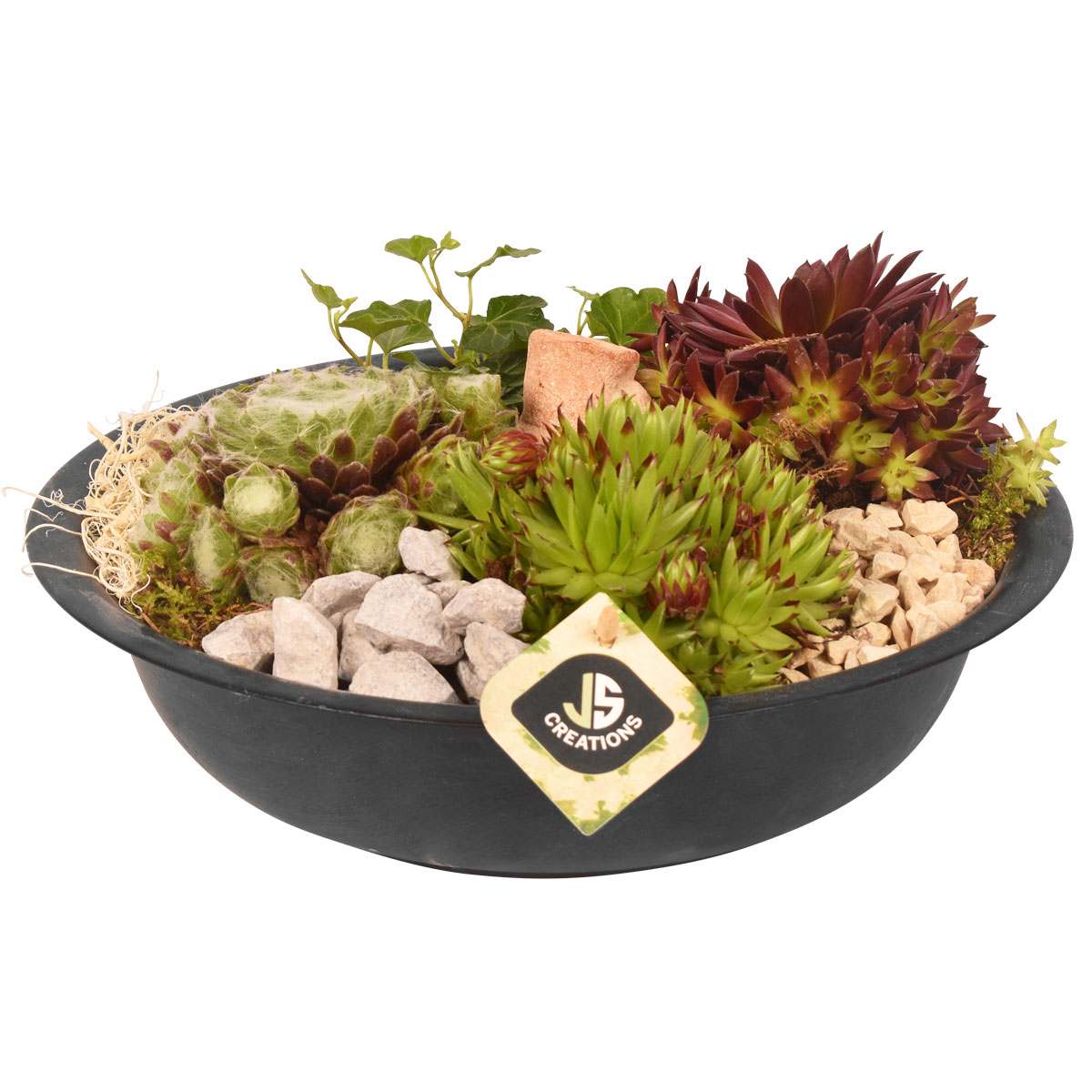 Plantiflor  Bepflanzte Zinkschale Ø 29 cm