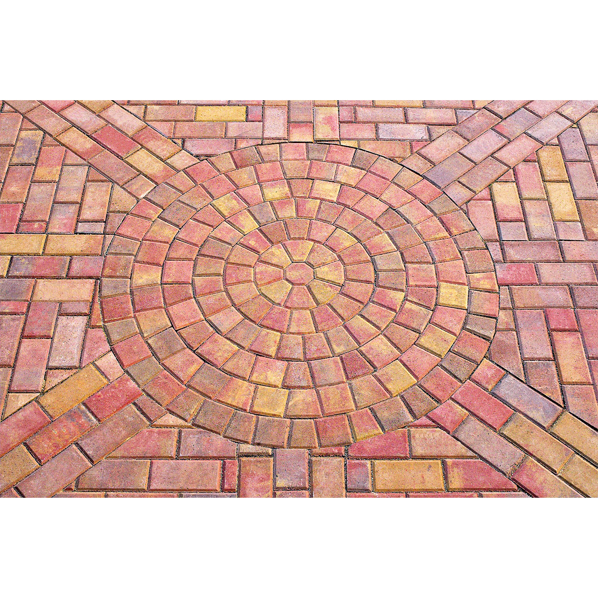 Lusit  Pflasterstein rund 5 cm weinlaub Bild 2