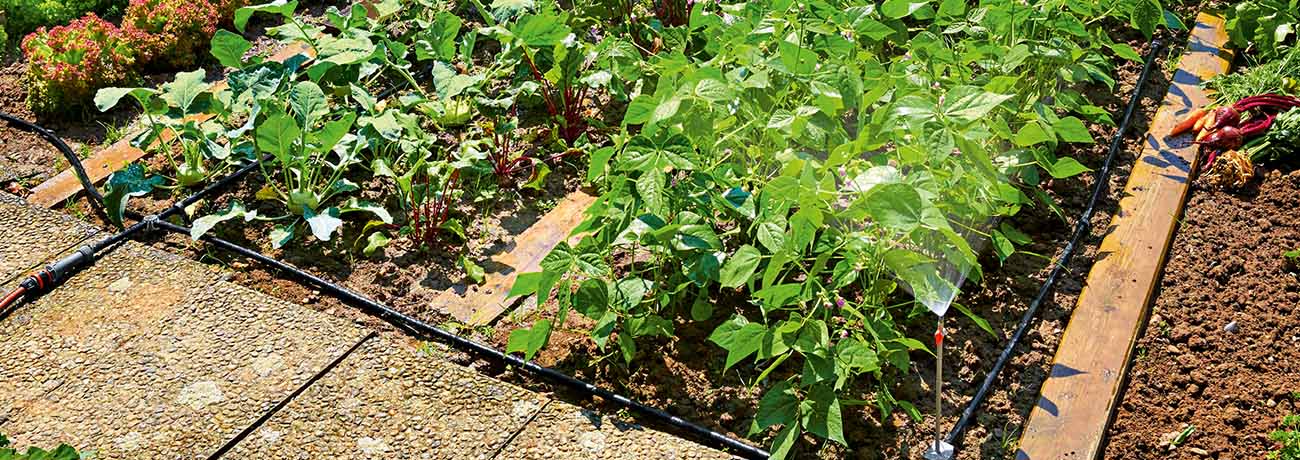 Bewaesserung_nutzgarten