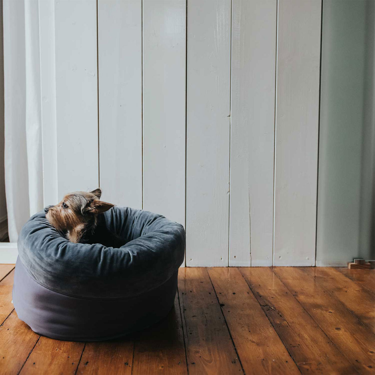 Hunter Hunde- und Katzenschlafplatz Miranda anthrazit Durchmesser 50 cm Bild 4