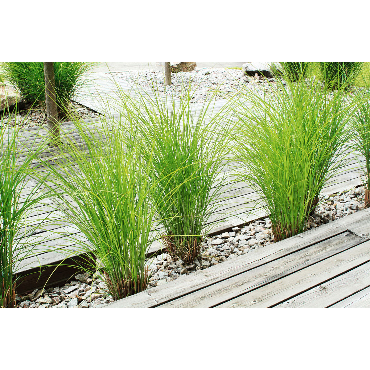 Rettenmeier Terrassendiele grau 300 x 12 x 2,1 cm Bild 6