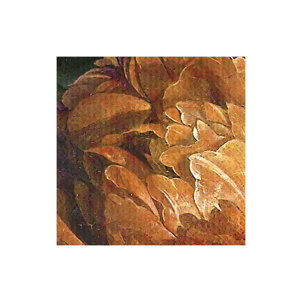 Komar  Vlies Fototapete Cultivé 200x250 cm Bild 6