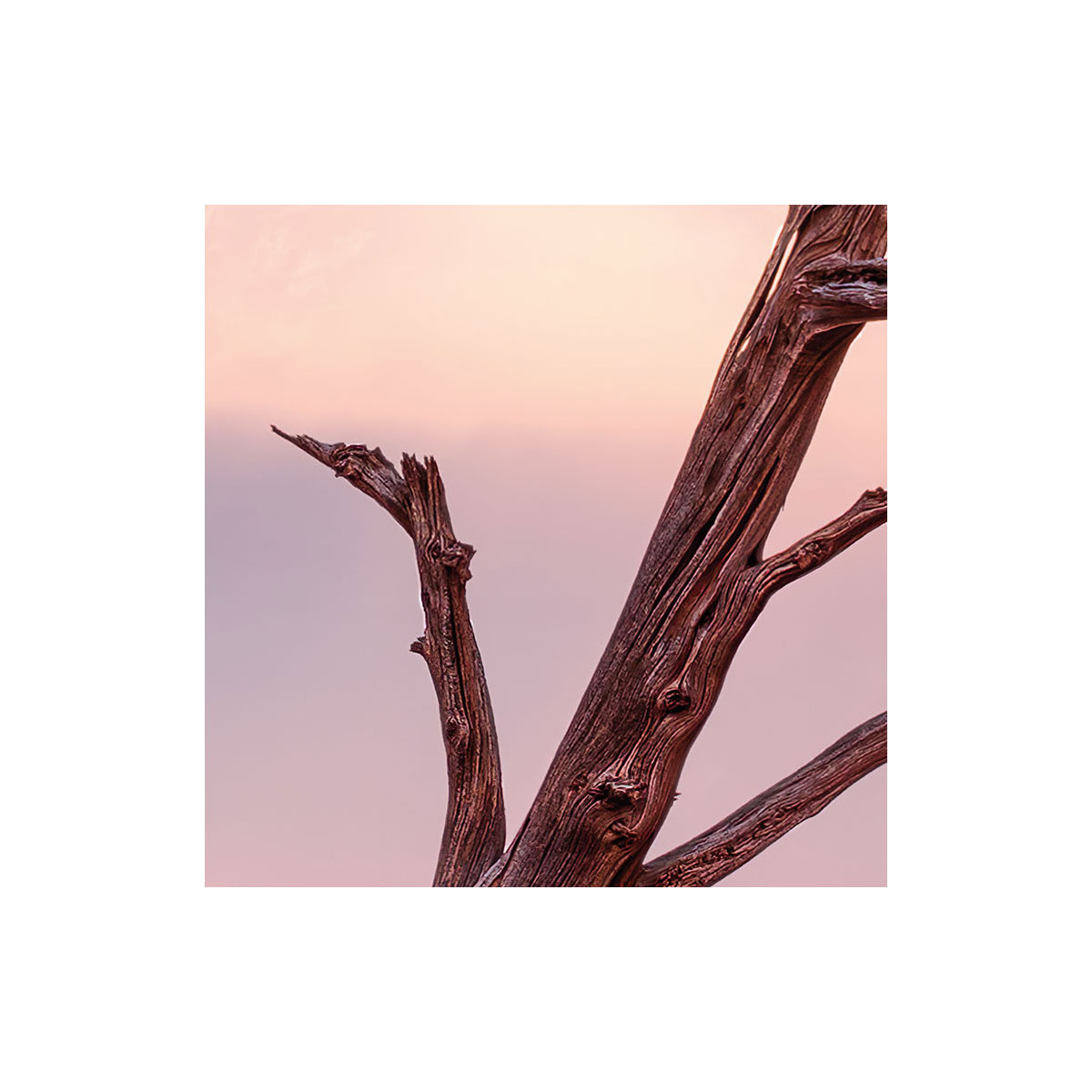 Komar  Vlies Fototapete Wild West Heroes 450x280 cm Bild 3