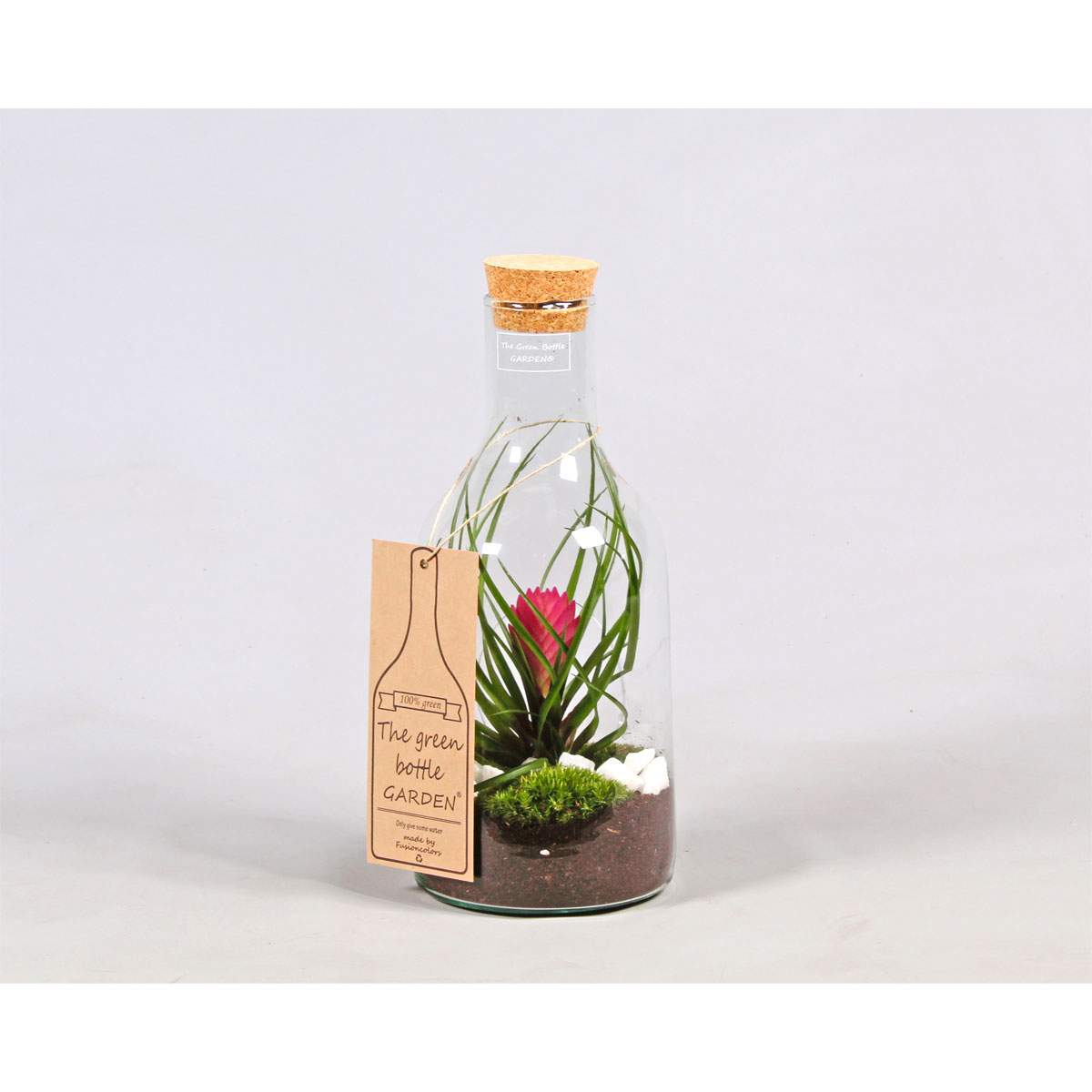 Plantiflor  Green Bottle mit Bromelia Durchmesser 15 cm 36-38 cm hoch