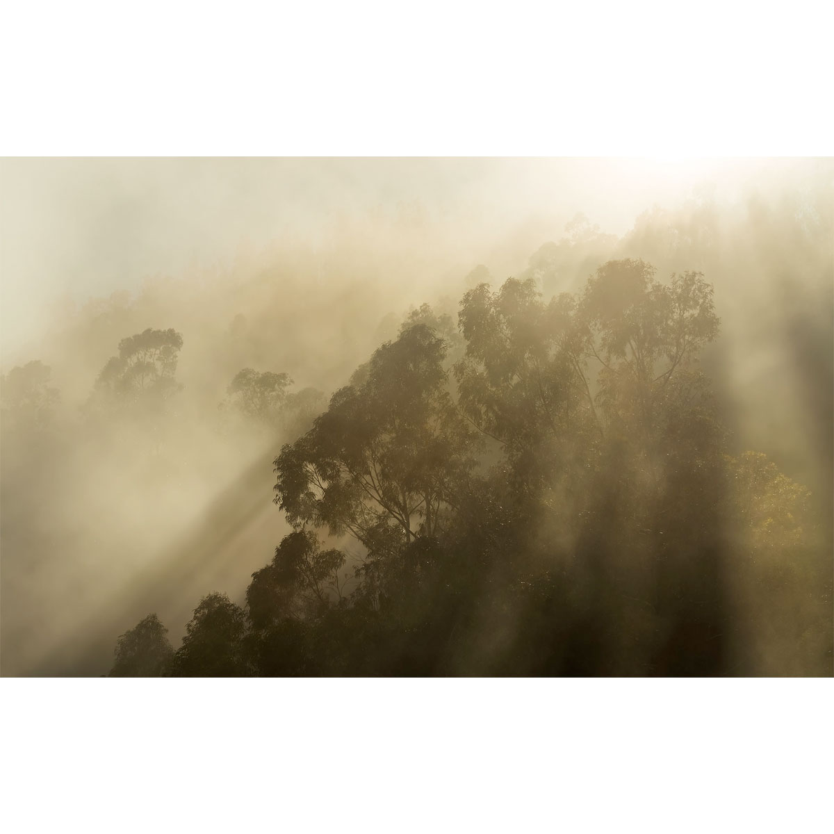 Komar  Vlies Fototapete Misty Mountain 400x250 cm Bild 2
