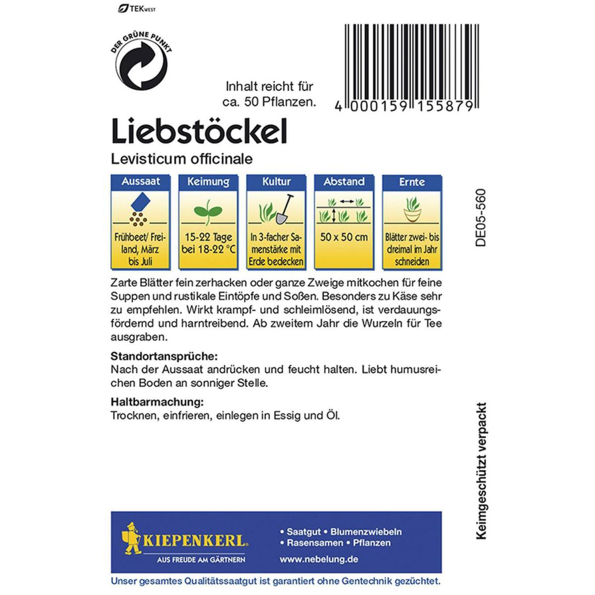 Kiepenkerl Liebstöckel Maggikraut Bild 2