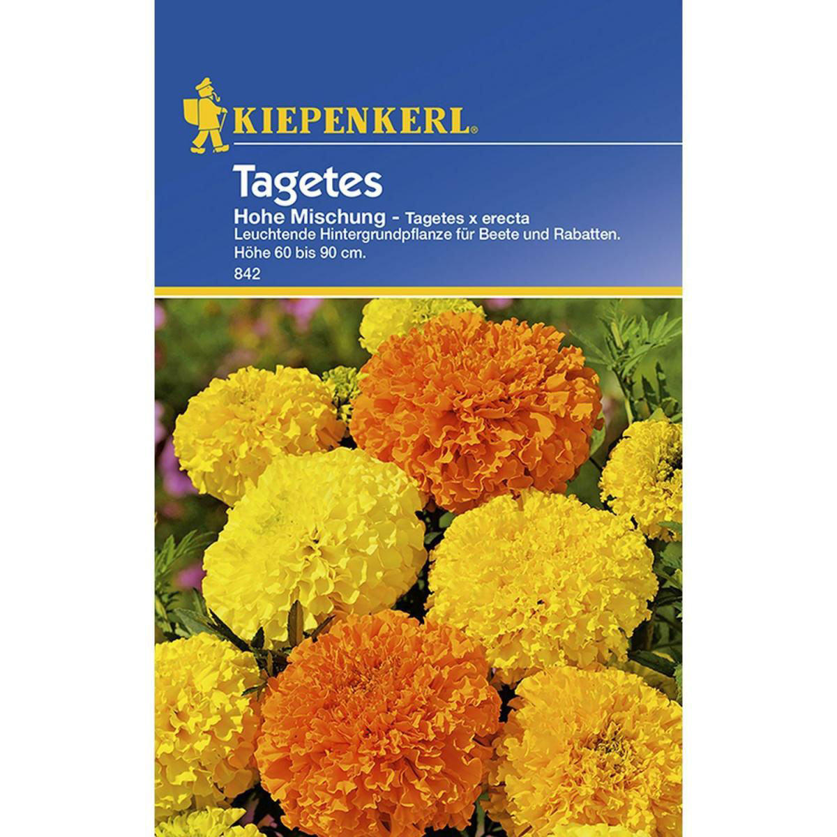 Kiepenkerl Tagetes hohe Mischung Bild 1