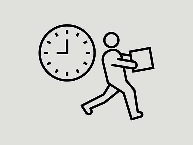 Sofortlieferung Icon