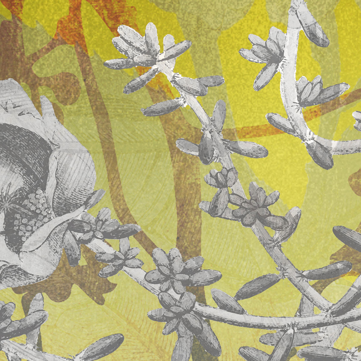 Komar  Vlies Fototapete Golden Sun 200x280 cm Bild 4